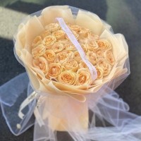 ӳʻٵ