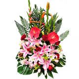 ӳʻٵ